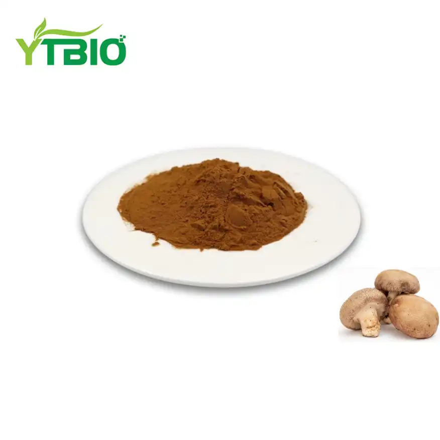 Shiitake Mushroom Powder Bulk